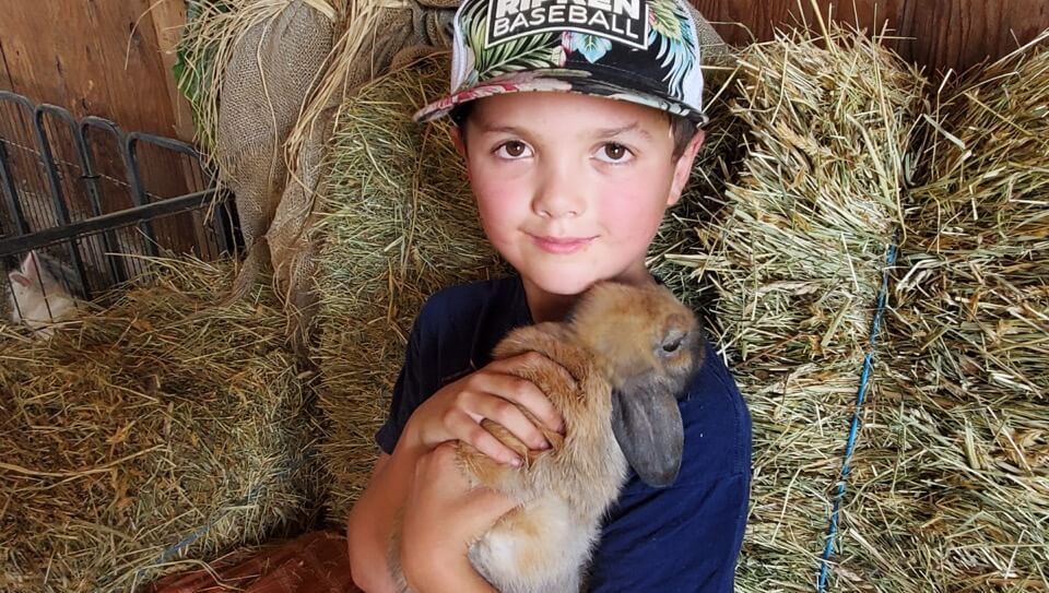 Child sunggles long-eared rabbit